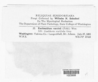 Image Associated With the Occurence